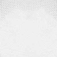 06 Transparent