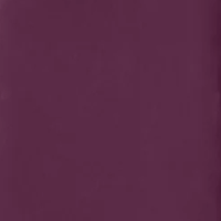 Purple Tourist