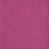 Nomad Pink