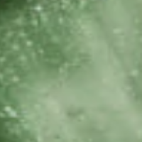 Sparkling Olive