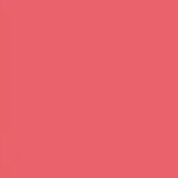 Pink Rose