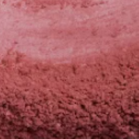 Coral Bliss