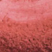 Coral Craving