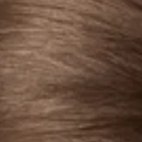 4N Medium Brown