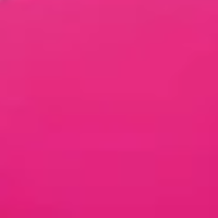 Pink Flemenco 21